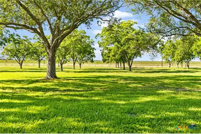 725 County Road 428, Lolita, TX 77971 - Photo 4