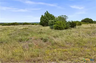 Lot 65 Three Creeks Dr, Bertram, TX 78605 - Photo 10