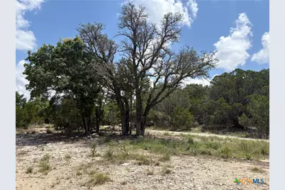 317 County Road 3062, Lampasas, TX 76550 - Photo 4