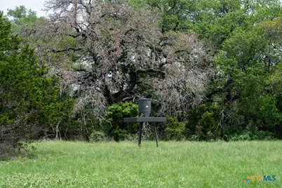 426 Mill Run, New Braunfels, TX 78132 - Photo 14