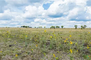 4775 Barnes Rd, Salado, TX 76571 - Photo 26