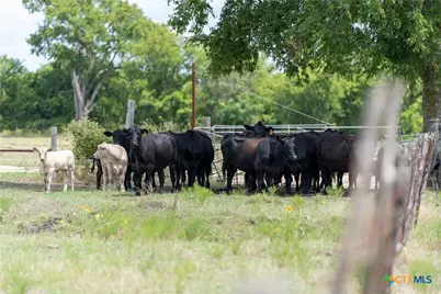 4775 Barnes Road, Salado, TX 76571 - Photo 24