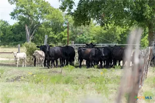 4775 Barnes Rd, Salado, TX 76571 - Photo 24