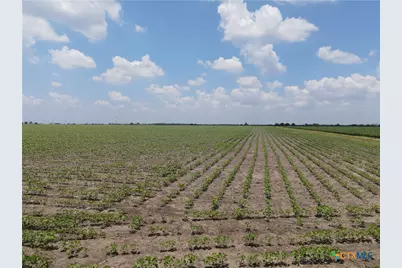 Na Willmann Road, Seguin, TX 78155 - Photo 2