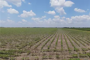 Tbd Willmann Rd, Seguin, TX 78155 - Photo 2