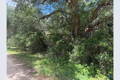 Lot 529 Grand Oak Street, Palacios, TX 77465 - Photo 2