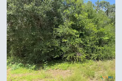 Lot 529 Grand Oak Street, Palacios, TX 77465 - Photo 8