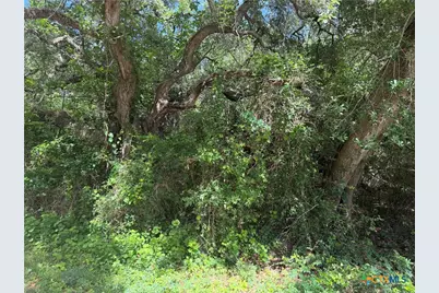 Lot 529 Grand Oak Street, Palacios, TX 77465 - Photo 1