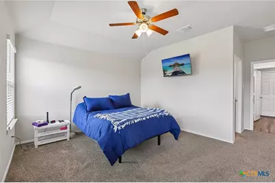 2416 Muscovy Drive, Copperas Cove, TX 76522 - Photo 16