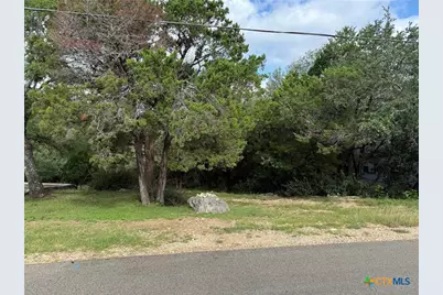 295 Nancy Drive, Canyon Lake, TX 78133 - Photo 2