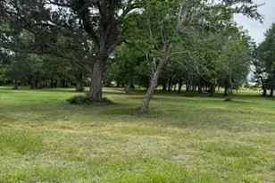 19313 State Hwy 172, La Ward, TX 77970 - Photo 14