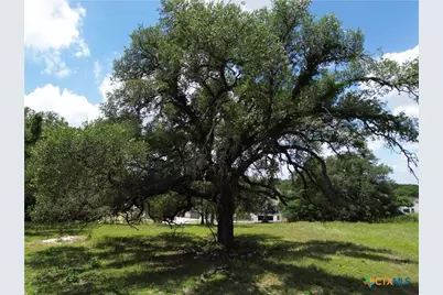 731 Santa Maria Road, Salado, TX 76571 - Photo 12