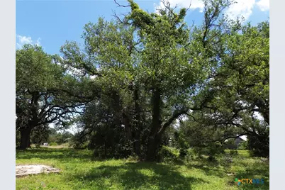 731 Santa Maria Road, Salado, TX 76571 - Photo 10