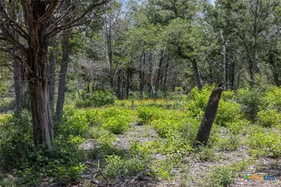 Tbd Tract 3B Rabel Rd, Rosanky, TX 78953 - Photo 10