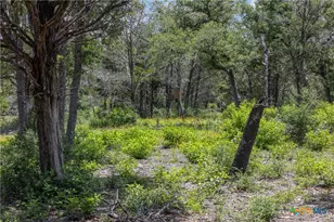 Tbd Tract 3B Rabel Rd, Rosanky, TX 78953 - Photo 10