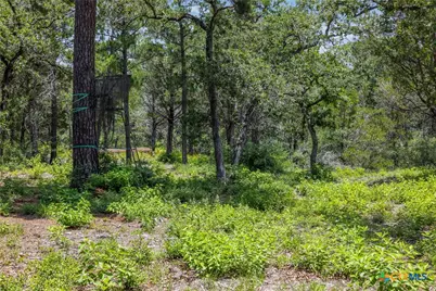 Tbd Tract 3B Rabel Rd, Rosanky, TX 78953 - Photo 8