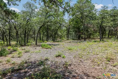 Tbd Tract 3B Rabel Rd, Rosanky, TX 78953 - Photo 4