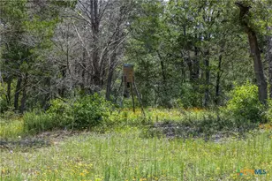 Tbd Tract 3B Rabel Rd, Rosanky, TX 78953 - Photo 12