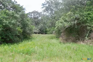 Tbd Fm 531, , TX 77987 - Photo 8