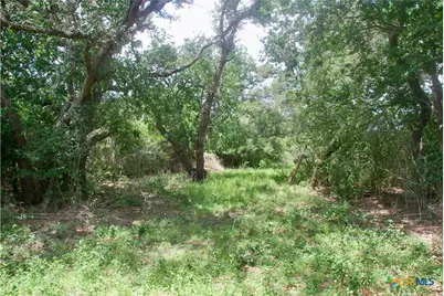 Tbd Fm 531, , TX 77987 - Photo 38