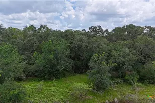 Tbd Fm 531, , TX 77987 - Photo 36