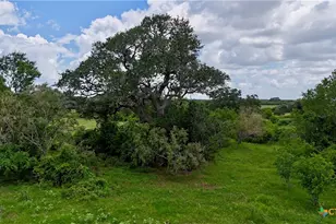 Tbd Fm 531, , TX 77987 - Photo 10
