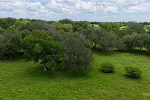 7755 Fm 1295, Moulton, TX 77975 - Photo 44