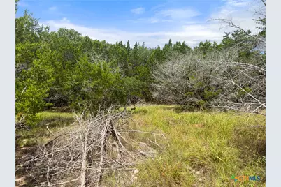 541 Henderson Drive, Spring Branch, TX 78070 - Photo 10