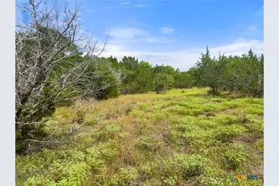 541 Henderson Drive, Spring Branch, TX 78070 - Photo 8