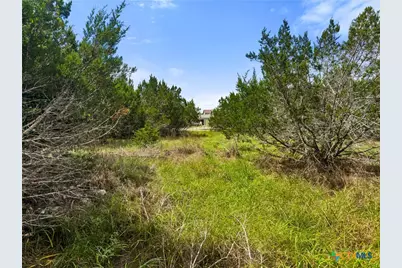 541 Henderson Drive, Spring Branch, TX 78070 - Photo 1