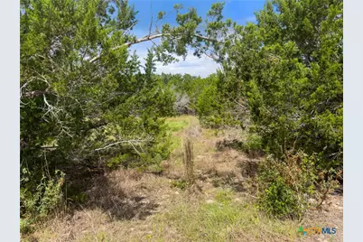 541 Henderson Drive, Spring Branch, TX 78070 - Photo 12