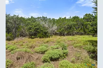 541 Henderson Drive, Spring Branch, TX 78070 - Photo 4