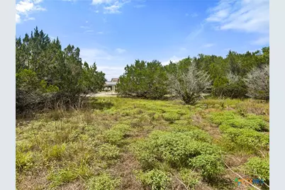 541 Henderson Drive, Spring Branch, TX 78070 - Photo 2