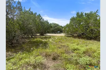 541 Henderson Drive, Spring Branch, TX 78070 - Photo 6