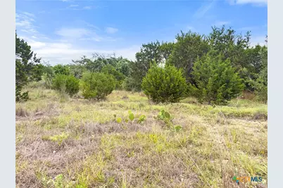 419 Cielo Vista, Canyon Lake, TX 78133 - Photo 4