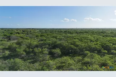 [Address not provided], Goliad, TX 77963 - Photo 8
