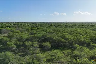[Address not provided], Goliad, TX 77963 - Photo 8