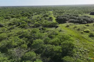 [Address not provided], Goliad, TX 77963 - Photo 6
