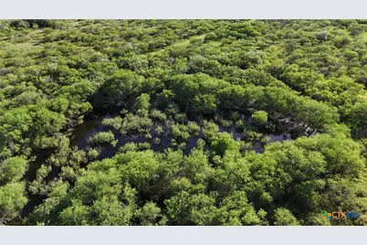 [Address not provided], Goliad, TX 77963 - Photo 10