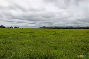 901 Walker Rd, Goliad, TX 77963 - Photo 10