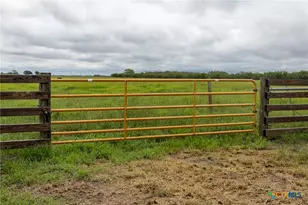 901 Walker Rd, Goliad, TX 77963 - Photo 6