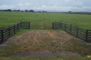 901 Walker Rd, Goliad, TX 77963 - Photo 2