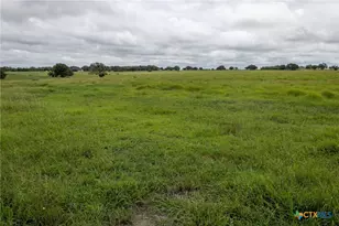 901 Walker Rd, Goliad, TX 77963 - Photo 12
