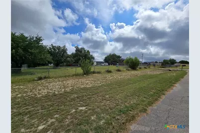 1504 Quail Meadows Drive, Kempner, TX 76539 - Photo 2