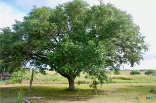 486 Co Rd 95D, Moulton, TX 77975 - Photo 20