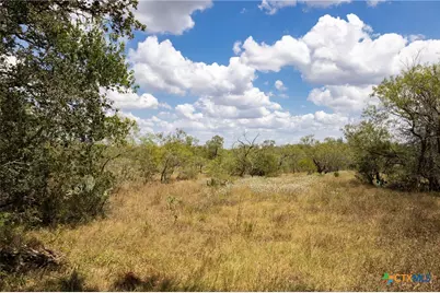 211 Halm Road, Seguin, TX 78155 - Photo 1