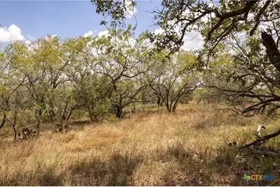 211 Halm Road, Seguin, TX 78155 - Photo 12