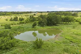 1701 Co Rd 466, Elgin, TX 78621 - Photo 10