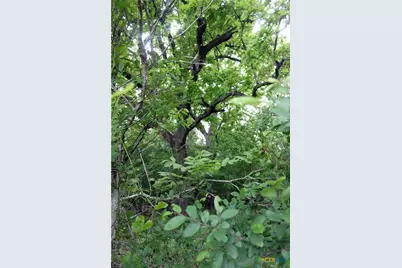 000 Brushy Branch Road, Lockhart, TX 78644 - Photo 12