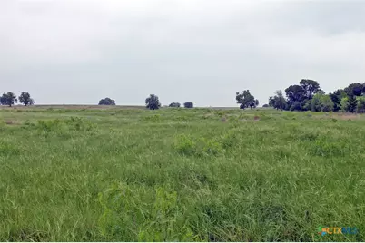 000 Brushy Branch Road, Lockhart, TX 78644 - Photo 18